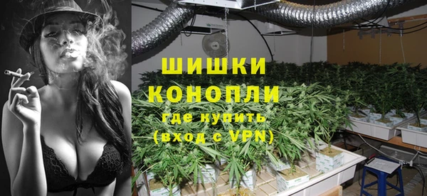 ПСИЛОЦИБИНОВЫЕ ГРИБЫ Майский