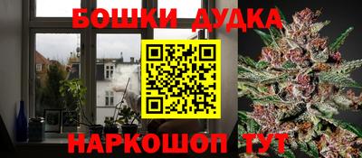 ГАЛЛЮЦИНОГЕННЫЕ ГРИБЫ Будённовск