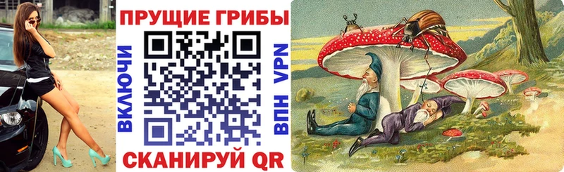 Псилоцибиновые грибы прущие грибы  где можно купить наркотик  Дмитров 