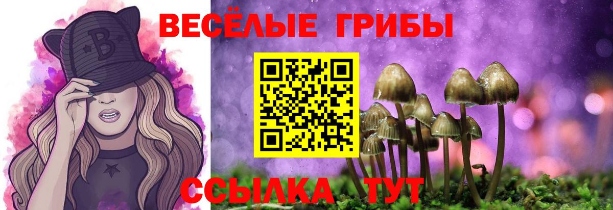 купить наркотики цена  Галлюциногенные грибы Psilocybe  Дмитров  Вход с VPN  Галлюциногенные грибы Magic Shrooms 
