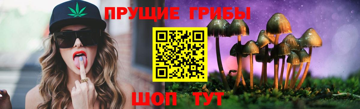 Псилоцибиновые грибы MAGIC MUSHROOMS Дмитров